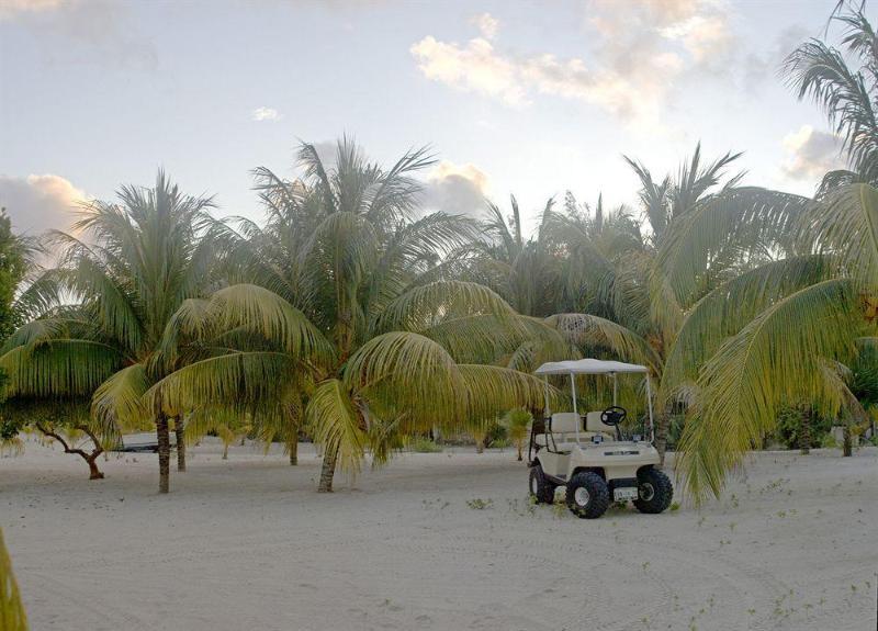 Villas Coco Resort - All Suites (Adults Only) Isla Mujeres Exterior photo